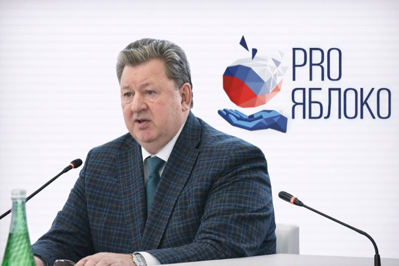 Владимир Кашин